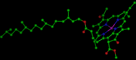 Molecular model of chlorophyll.